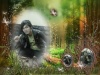 Rizky afrizal... 1